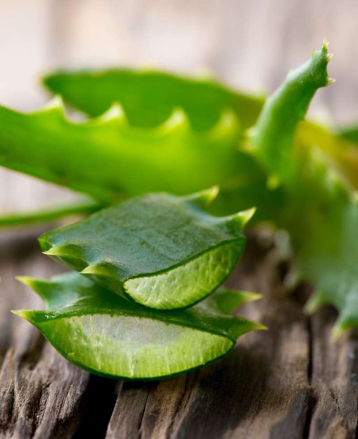 Aloe Vera for Skin- Tips on how to extract and apply