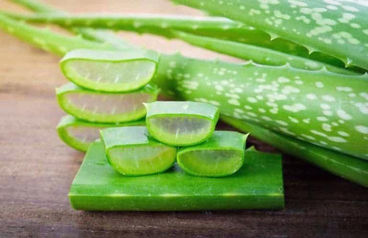 Aloe Vera for Skin- Tips on how to extract and apply