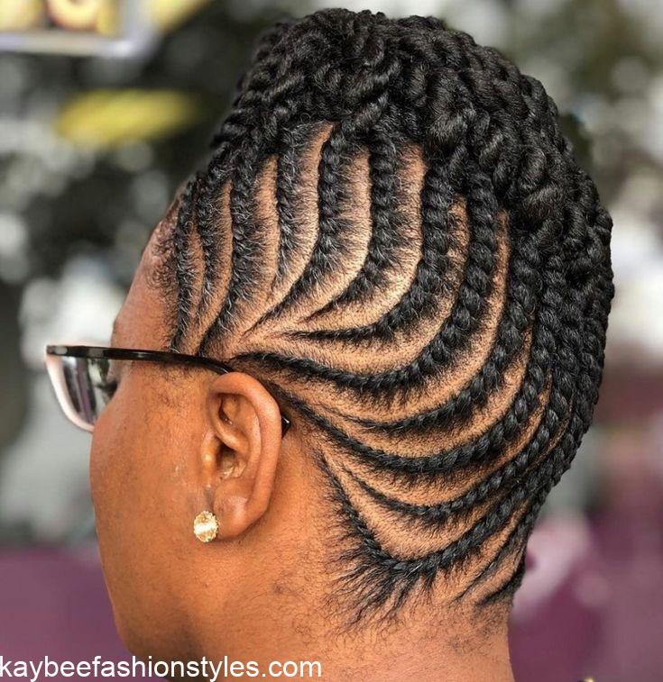 Natural Hair Twist Styles for Ladies