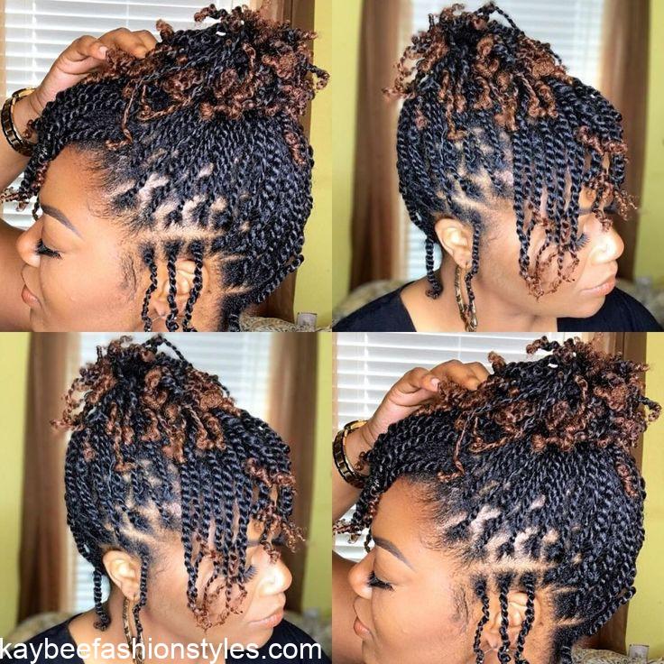 Natural Hair Twist Styles for Ladies