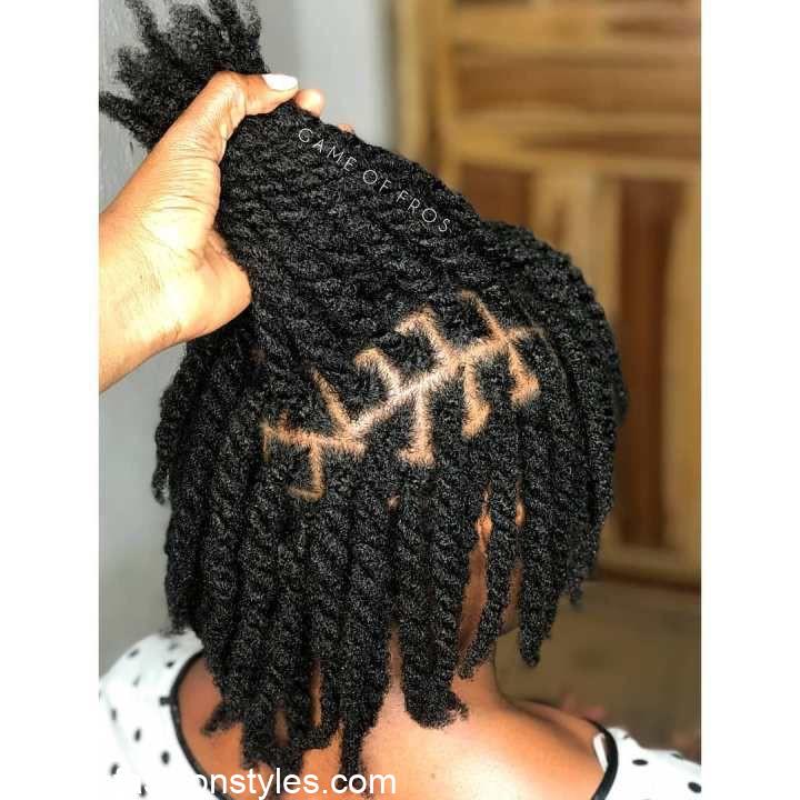 Natural Hair Twist Styles for Ladies