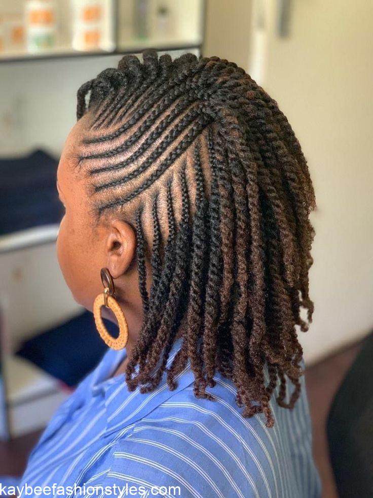 Natural Hair Twist Styles for Ladies