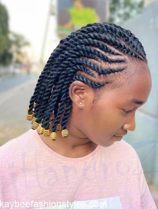 Natural Hair Twist Styles for Ladies