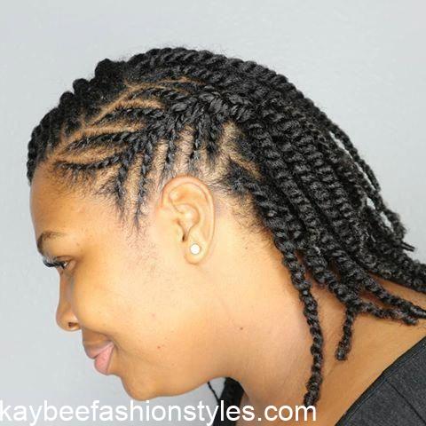 Natural Hair Twist Styles for Ladies