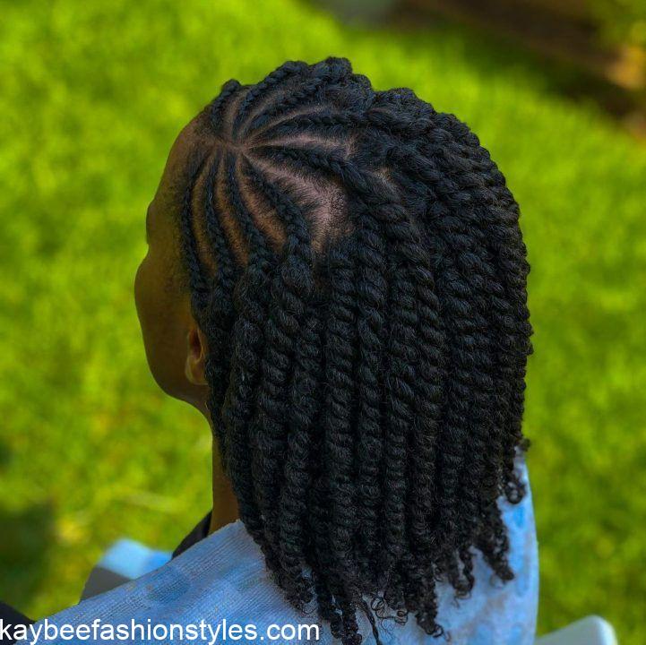 Natural Hair Twist Styles for Ladies