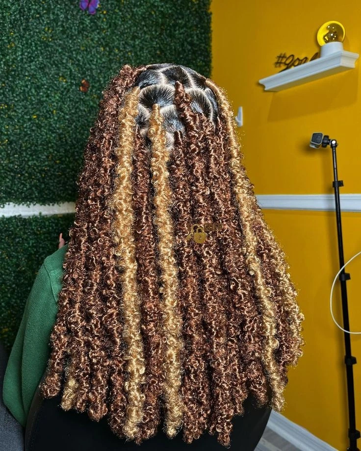 Butterfly Locs Braids Styles