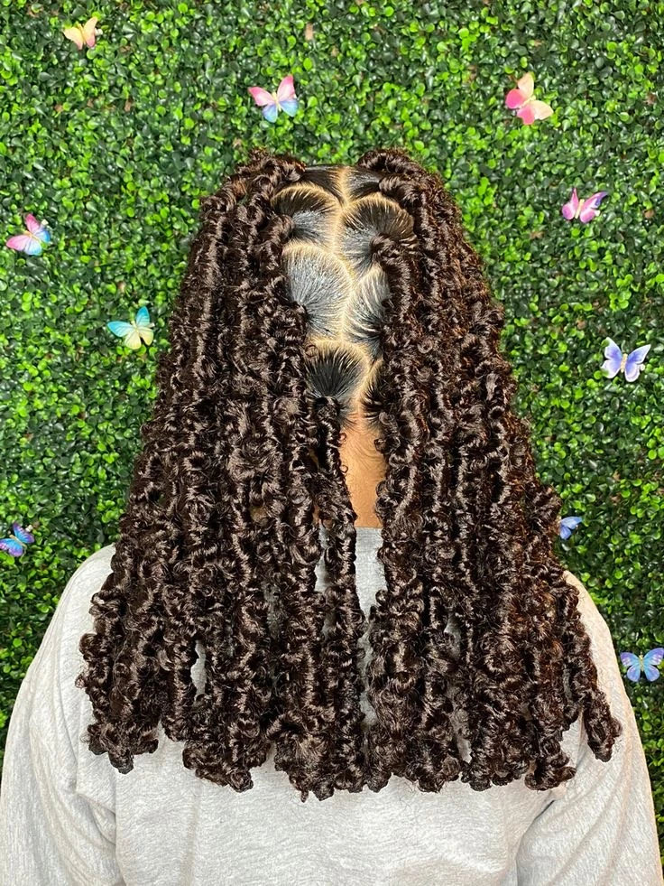 Butterfly Locs Braids Styles