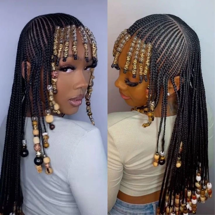 Fulani Braids Hairstyles for Ladies