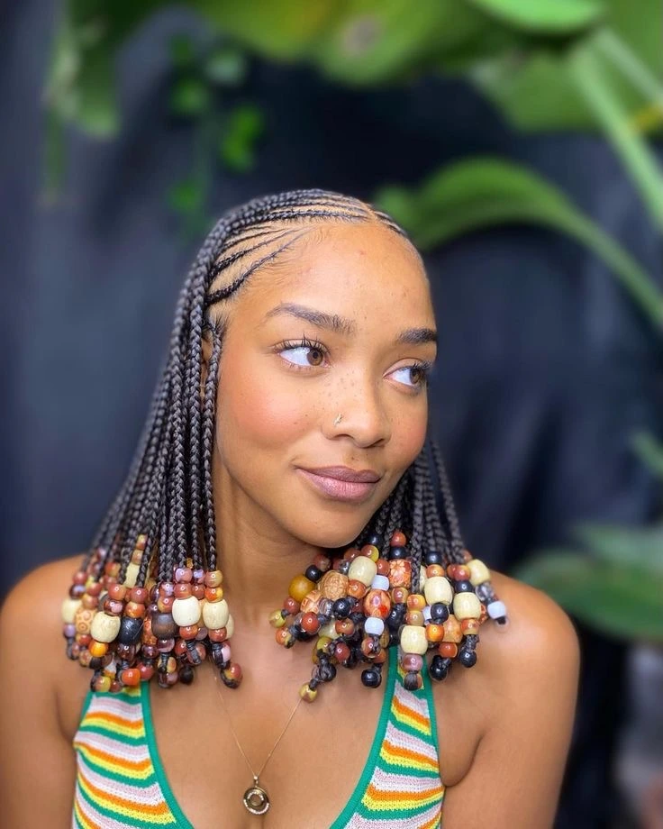 Fulani Braids Hairstyles for Ladies