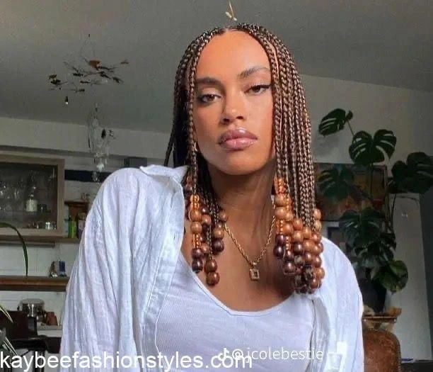 Alicia Keys Braids Hairstyles