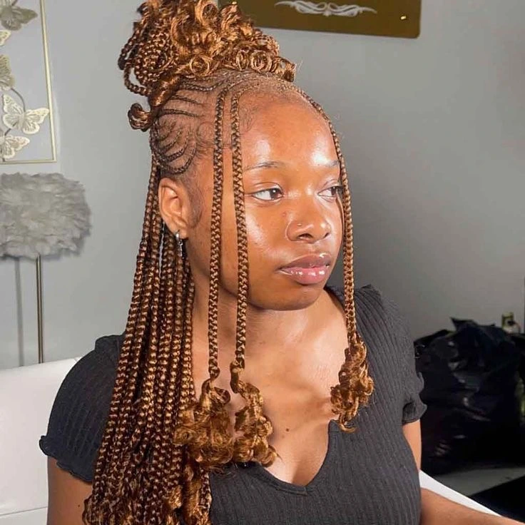 Fulani Braids Hairstyles for Ladies