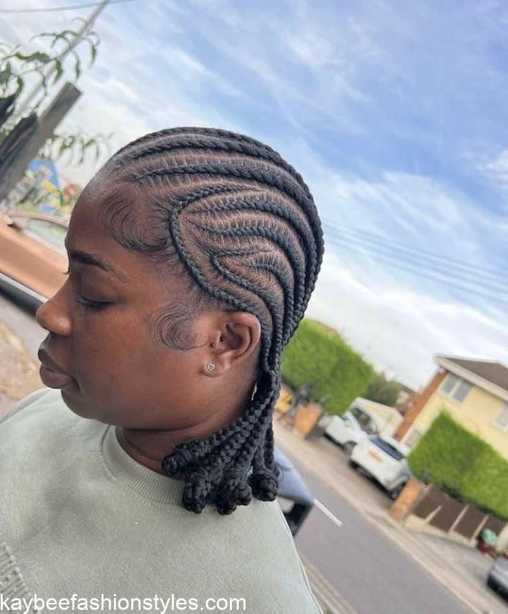 Alicia Keys Braids Hairstyles