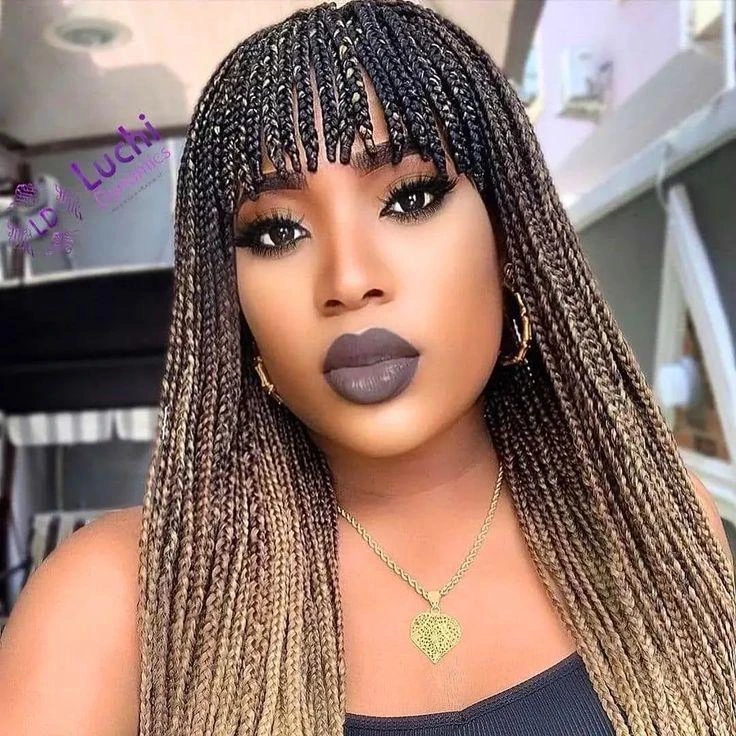 Afro Braids Hairstyles for Ladies