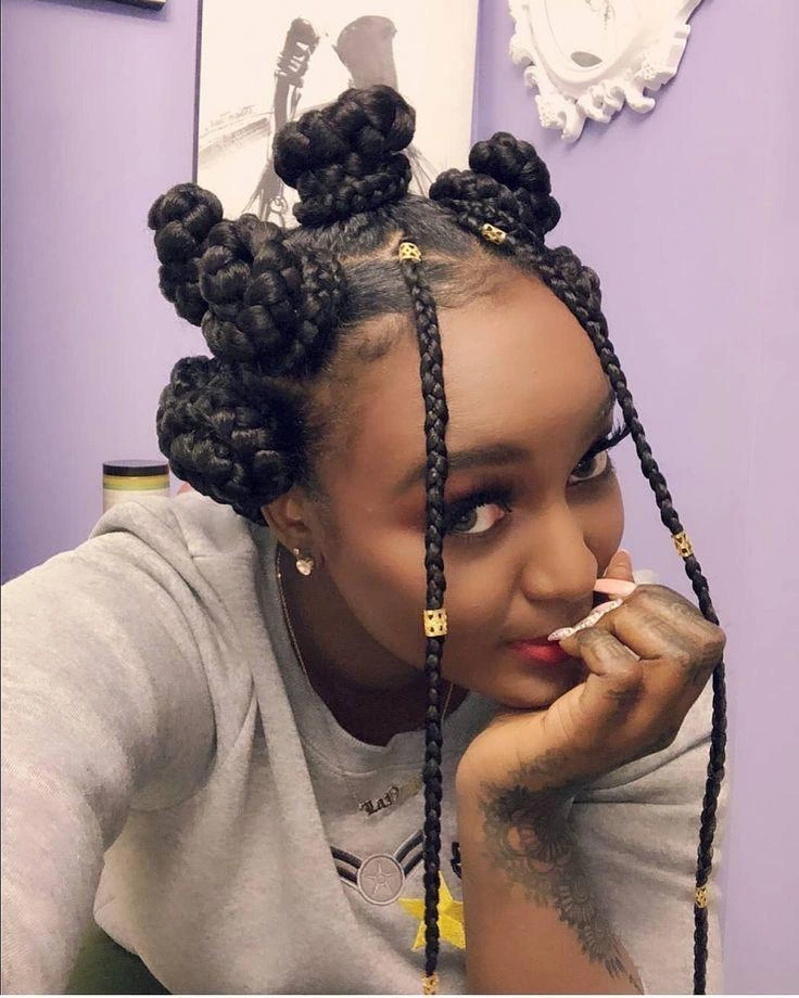 Afro Braids Hairstyles for Ladies