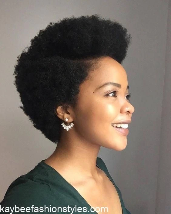 Natural Afro Hairstyles for Ladies