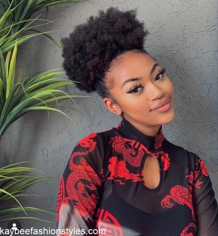 Natural Afro Hairstyles for Ladies