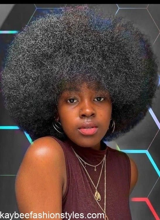 Natural Afro Hairstyles for Ladies