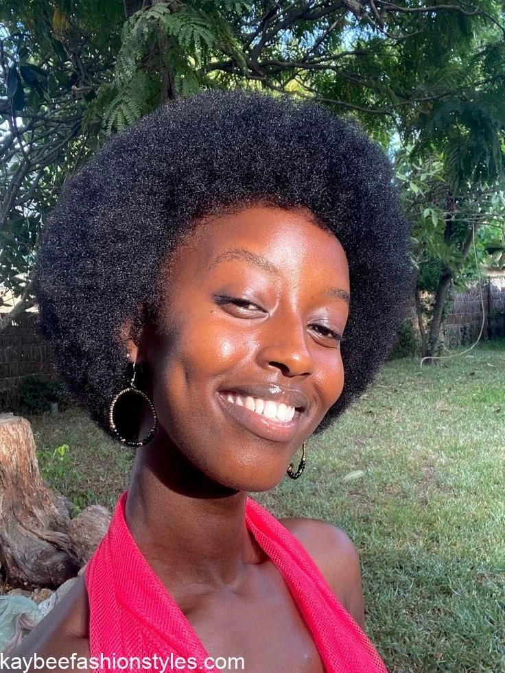 Natural Afro Hairstyles for Ladies