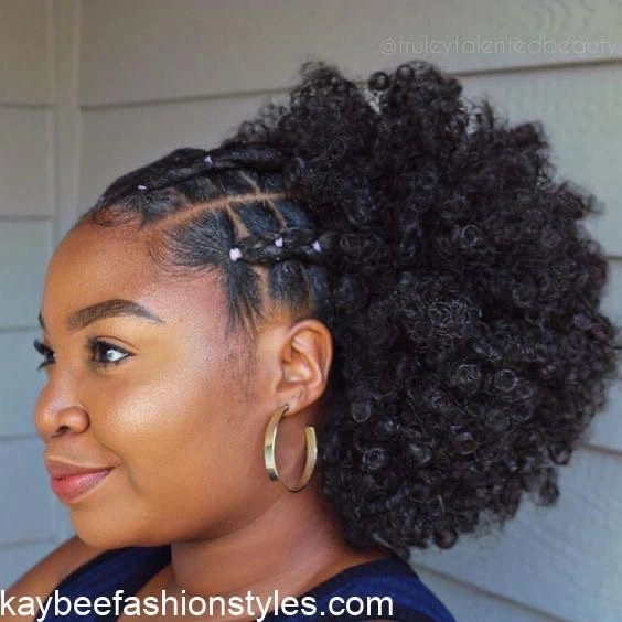 Natural Afro Hairstyles for Ladies