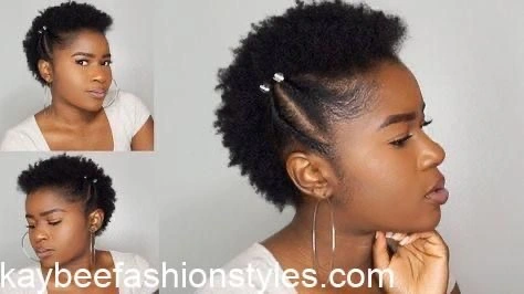 Natural Afro Hairstyles for Ladies