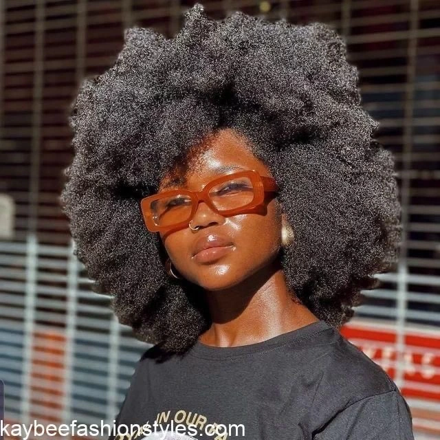 Natural Afro Hairstyles for Ladies
