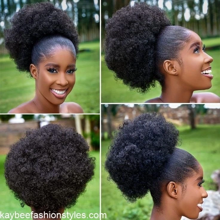 Natural Afro Hairstyles for Ladies