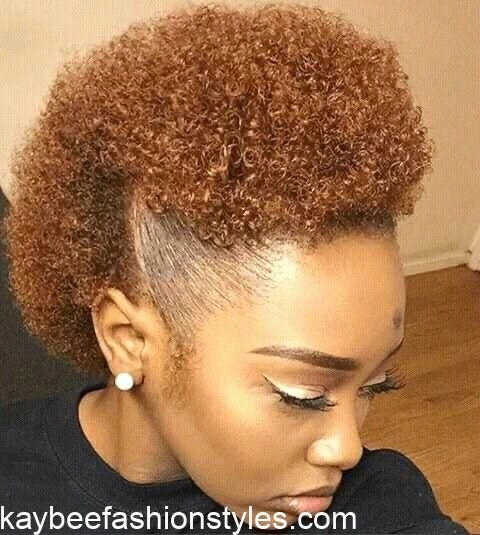 Natural Afro Hairstyles for Ladies
