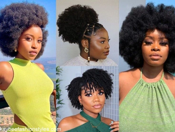 Natural Afro Hairstyles for Ladies