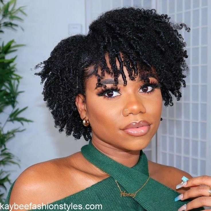 Natural Afro Hairstyles for Ladies
