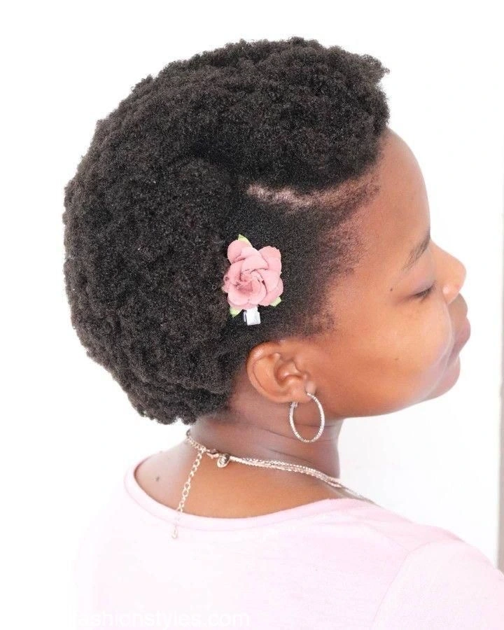 Natural Afro Hairstyles for Ladies