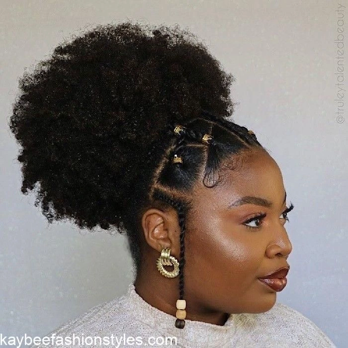 Natural Afro Hairstyles for Ladies