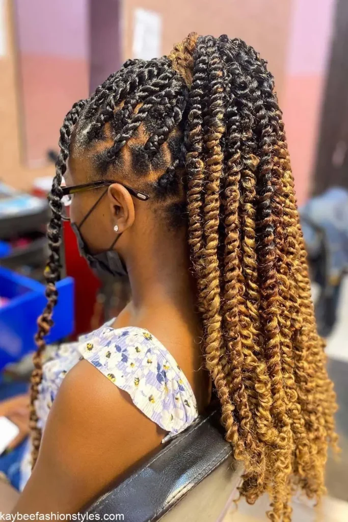 Passion Twist Hairstyles for Ladies