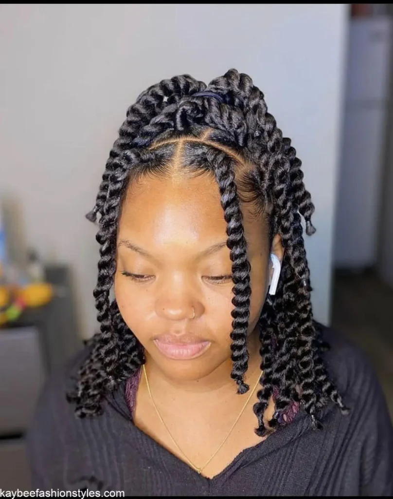 Passion Twist Hairstyles for Ladies