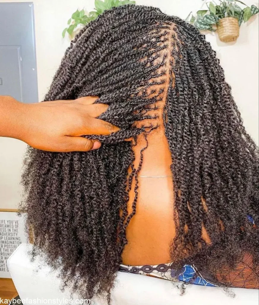 Passion Twist Hairstyles for Ladies